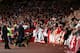 LONDON, ENGLAND - SEPTEMBER 14: Riot police with dogs stand infront of the FC Koeln fans ahead of the UEFA Europa League group H match between Arsenal FC and 1. FC Koeln at Emirates Stadium on September 14, 2017 in London, United Kingdom. (Photo by Ric