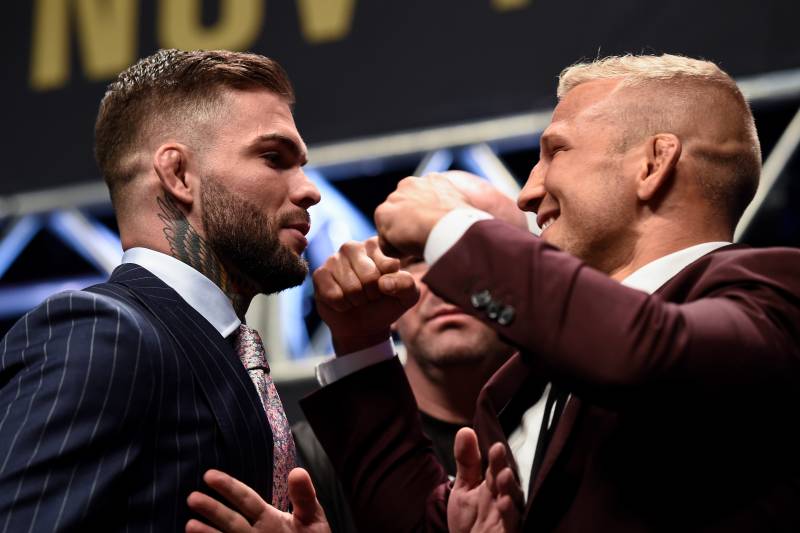 Garbrandt and Dillashaw will face off at UFC 217