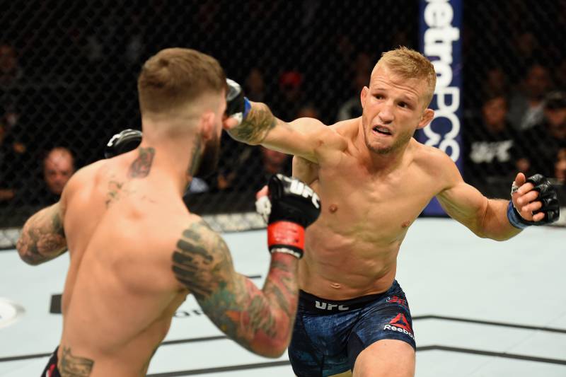 NEW YORK, NY - NOVEMBER 04: TJ Dillashaw lands a punch against Cody Garbrandt in their UFC bantamweight championship bout during the UFC 217 event at Madison Square Garden on November 4, 2017 in New York City. (Photo by Josh Hedges/Zuffa LLC/Zuffa LLC v