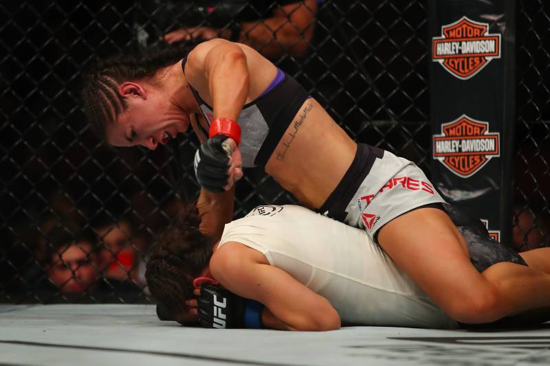 7DETROIT, MI - DECEMBER 02: Tecia Torres (top) battles Michelle Waterson during UFC 218 at Little Ceasars Arena on December 2, 2018 in Detroit, Michigan. (Photo by Gregory Shamus/Getty Images)