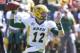 IOWA CITY, IOWA- SEPTEMBER 17: Quarterback Easton Stick #12 of the North Dakota State Bison drops back for a pass in the second quarter against the Iowa Hawkeyes, on September 17, 2016 at Kinnick Stadium in Iowa City, Iowa. (Photo by Matthew Holst/Getty