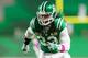 REGINA, SK - OCTOBER 13: Trent Richardson #33 of the Saskatchewan Roughriders during pregame warmup for the game against the Ottawa Redblacks at Mosaic Stadium on October 13, 2017 in Regina, Canada. (Photo by Brent Just/Getty Images)