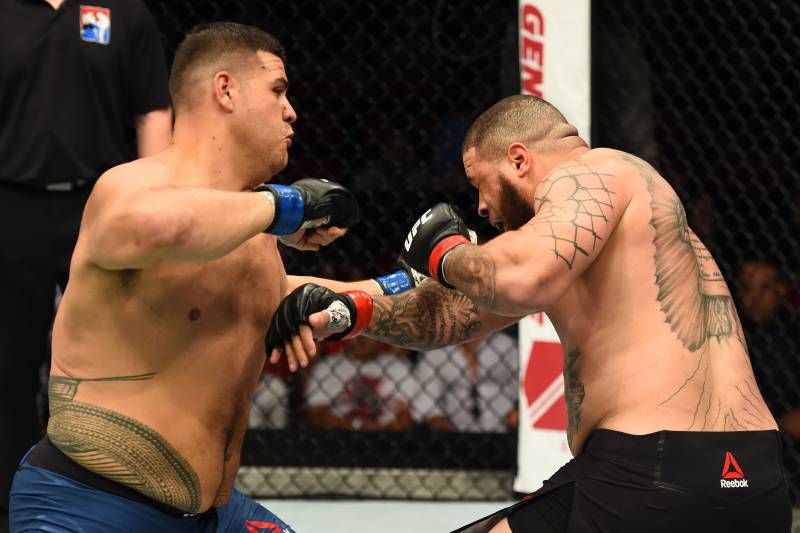 SYDNEY, AUSTRALIA - NOVEMBER 19: (L-R) Tai Tuivasa punches Rashad Coulter in their heavyweight bout during the UFC Fight Night event inside the Qudos Bank Arena on November 19, 2017 in Sydney, Australia. (Photo by Josh Hedges/Zuffa LLC/Zuffa LLC via Gett