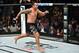 Fabricio Werdum