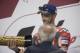 Dovizioso will be aiming for another win.