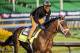 LOUISVILLE, KY - MAY 01: Magnum Moon with Nick Bush up gallops in preparation for the Kentucky Derby at Churchill Downs on May 1, 2018 in Louisville, Kentucky. (Photo by Alex Evers/Eclipse Sportswire/Getty Images)