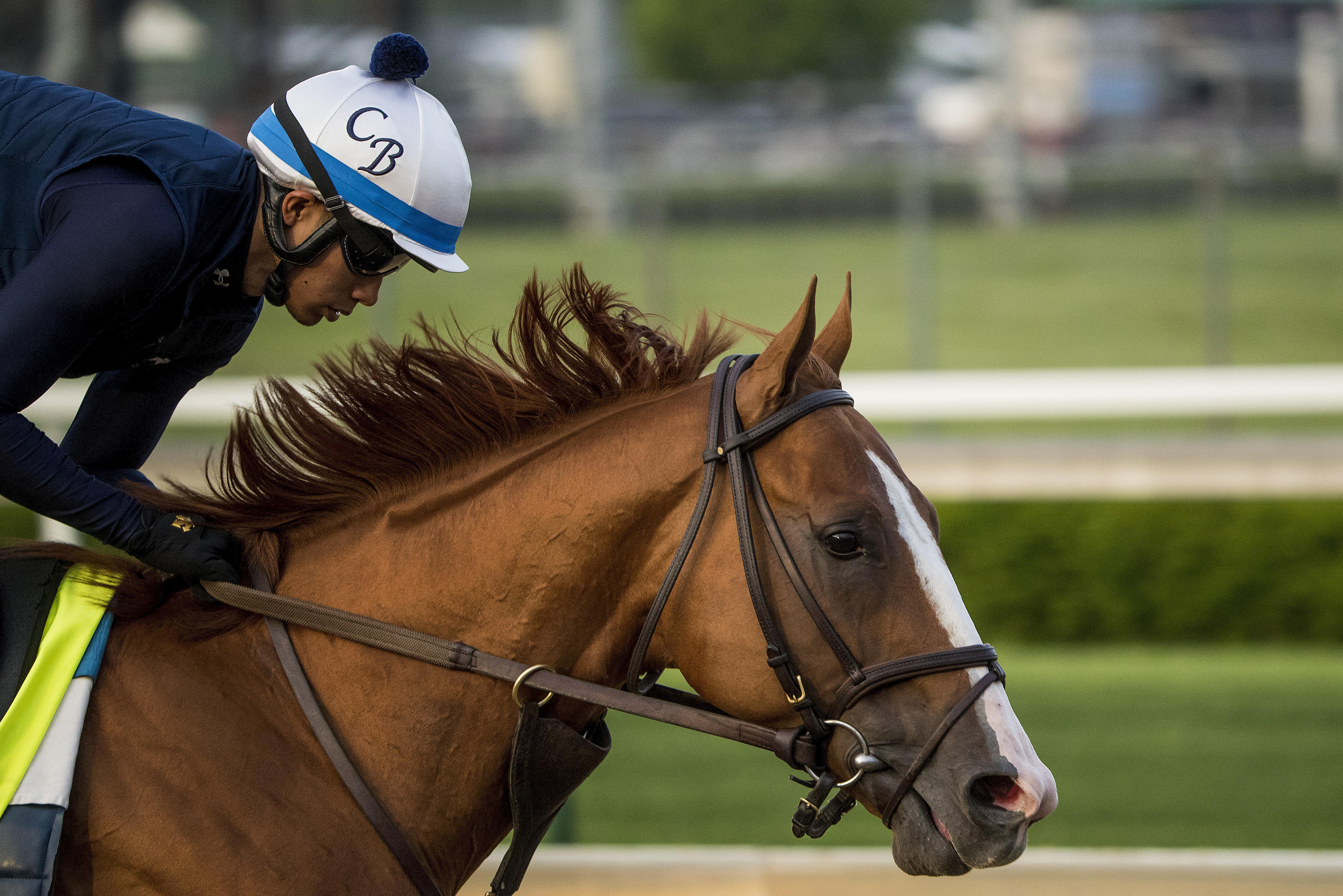LOUISVILLE, KY - MAY 02: Good Magic gallops in preparation for the Kentucky Derby at Churchill Downs on May 2, 2018 in Louisville, Kentucky. (Photo by Alex Evers/Eclipse Sportswire/Getty Images)