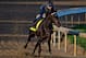 LOUISVILLE, KY - APRIL 28: My Boy Jack, trained by Keith Desormeaux, exercises in preparation for the Kentucky Derby at Churchill Downs on April 28, 2018 in Louisville, Kentucky. (Photo by Scott Serio/Eclipse Sportswire/Getty Images)