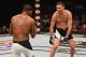 Nate Diaz is extraordinary at taunting opponents, which often leads to them making mistakes.