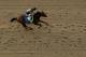 Lone Sailor has the stamina and power for Pimlico.