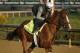 Good Magic will challenge Justify once again.