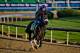 LOUISVILLE, KY - APRIL 30: Bravazo, trained by D. Wayne Lukas, exercises in preparation for the Kentucky Derby at Churchill Downs on April 30, 2018 in Louisville, Kentucky. (Photo by Scott Serio/Eclipse Sportswire/Getty Images)