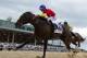 Quip is hoping to make a serious run at the Preakness.