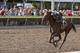 HALLANDALE BEACH, FL - MARCH 31: Coach Rocks #2, ridden by Luis Saez, wins the Gulfstream Park Oaks at Gulfstream Park on March 31, 2018 in Hallandale Beach, Florida. (Photo by Liz Lamont/Eclipse Sportswire/Getty Images)