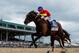 OLDSMAR, FL - MARCH 10: Quip #10, ridden by Florent Geroux wins the Tampa Bay Derby on Tampa Derby Day at Tampa Bay Downs on March 10, 2018 in Oldsmar, FL. (Photo by Scott Serio/Eclipse Sportswire/Getty Images)