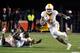 Alvin Kamara at Tennessee