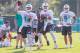 DAVIE, FL - JULY 26: Bryce Petty #14 Brock Osweiler #8 David Fales #9 perform passing drills during Miami Dolphins Training Camp at Baptist Health Training Facility at Nova Southeastern University on July 26, 2018 in Davie, Florida. (Photo by Mark Brown/
