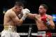 Ater suffering the first, and only, loss of his professional career, Garcia defeated Brandon Rios with a ninth-round knockout in February.