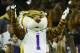 HOUSTON, TX - DECEMBER 29: LSU Tigers mascot Mike cheers from the fan section during the second half of their game against the Texas Tech Red Raiders during the AdvoCare V100 Texas Bowl at NRG Stadium on December 29, 2015 in Houston, Texas. (Photo by Sc
