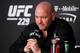 UFC president Dana White