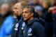 CARDIFF, WALES - NOVEMBER 10: Chris Hughton, Manager of Brighton and Hove Albion looks on prior to the Premier League match between Cardiff City and Brighton & Hove Albion at the Cardiff City Stadium on November 10, 2018 in Cardiff, United Kingdom. (Pho