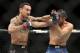 TORONTO, ON - DECEMBER 8: Max Holloway (L) of the United States fights against Brian Ortega of the United States in a featherweight bout during the UFC 231 event at Scotiabank Arena on December 8, 2018 in Toronto, Canada. (Photo by Vaughn Ridley/Getty I