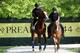 BALTIMORE, MARYLAND - MAY 16: Improbable is led back to the barn after training on the track during a training session for the upcoming Preakness Stakes at Pimlico Race Course on May 16, 2019 in Baltimore, Maryland. (Photo by Rob Carr/Getty Images)