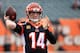 CINCINNATI, OHIO - DECEMBER 01: Andy Dalton #14 of the Cincinnati Bengals before the game against the New York Jets at Paul Brown Stadium on December 01, 2019 in Cincinnati, Ohio. (Photo by Andy Lyons/Getty Images)