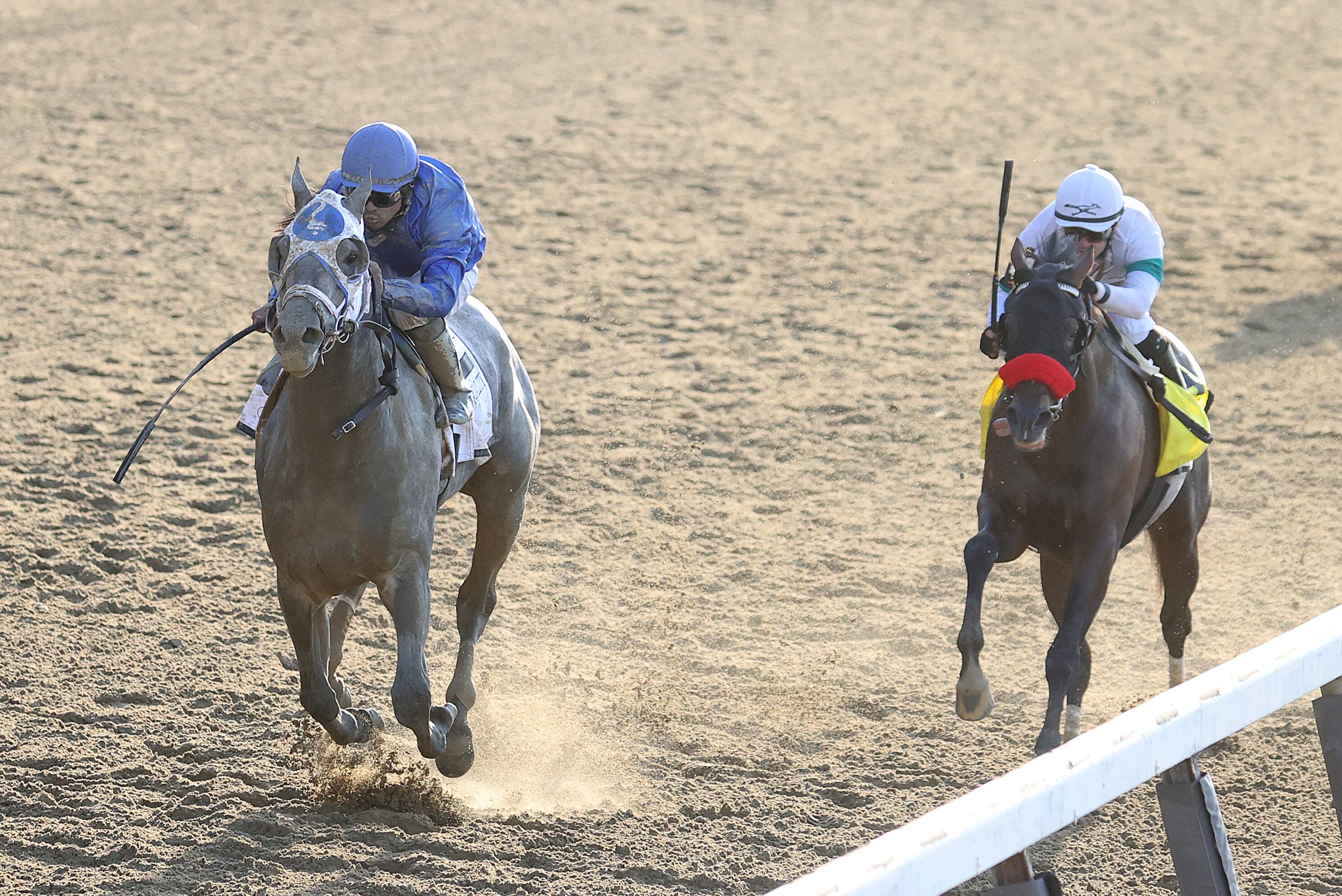 haskell stakes 2021 odds post positions prize money and picks bleacher report latest news videos and highlights