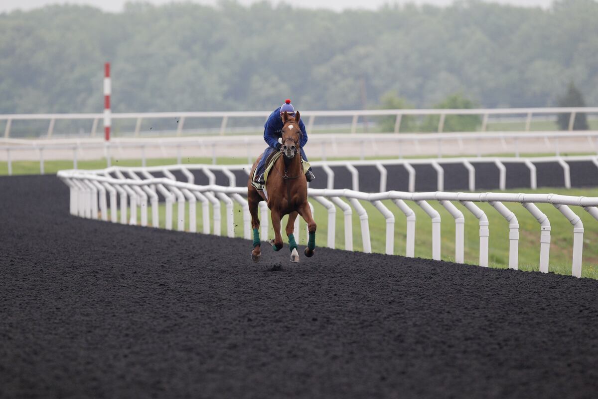 Kentucky Derby Trail A Complete Early Look at the Road to the Roses News, Scores, Highlights