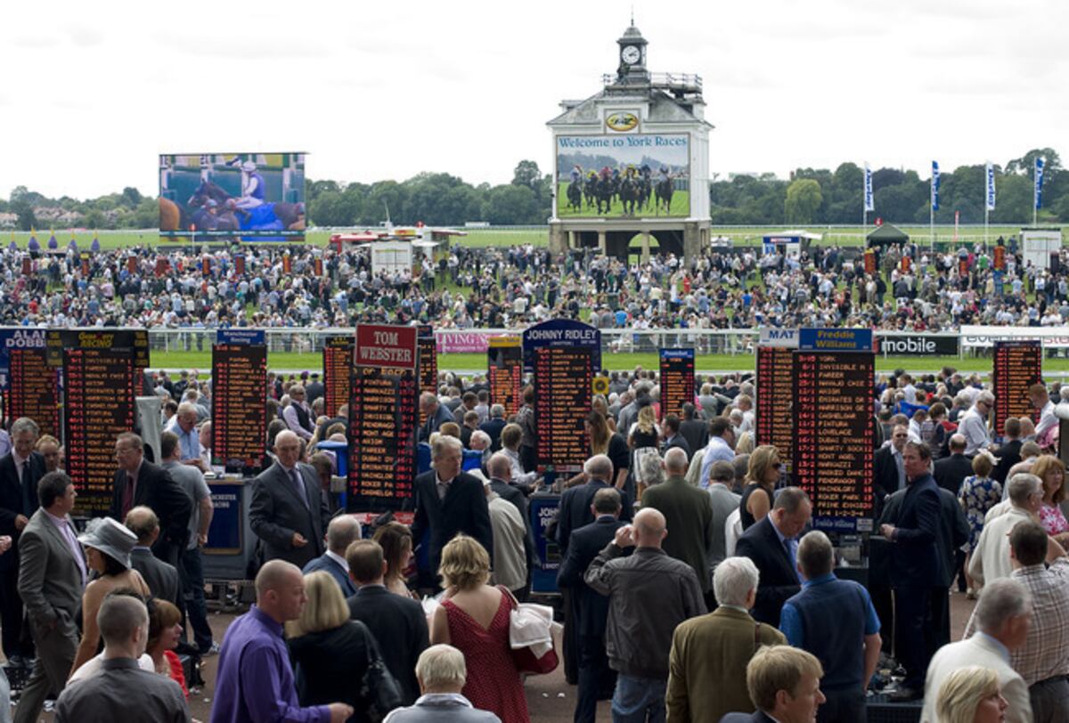 A Look at the National Handicapping Championship | News, Scores ...