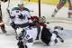 Logan Couture deserves the credit for four of the Sharks last five goals