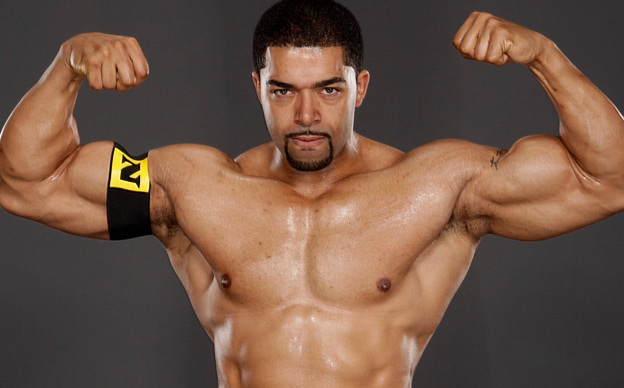 David Otunga WWE
