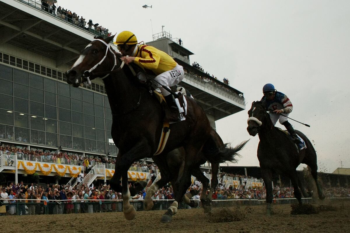 Information About Retired Race Horses Is a Privilege, Not a Right