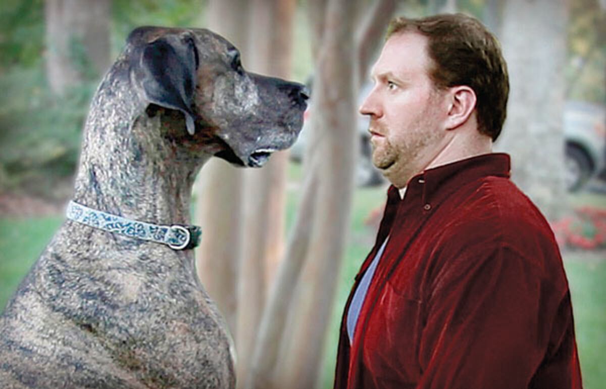 Doritos Super Bowl Commercial Crazy Dog And Flying Baby Are Big Winners Bleacher Report Latest News Videos And Highlights