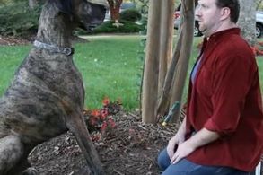Doritos Super Bowl Commercial Dead Cat Bribe Makes For One