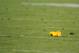 DENVER, CO - SEPTEMBER 12: A penalty flag lies on the turf during the game between the Oakland Raiders and the Denver Broncos at Sports Authority Field at Mile High on September 12, 2011 in Denver, Colorado. (Photo by Garrett W. Ellwood/Getty Images)