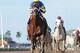 Thunder Moccasin romps in the Hutcheson from Gulfstream. Watch his victory BELOW!!