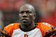 ATLANTA - OCTOBER 24: Terrell Owens #81 of the Cincinnati Bengals against the Atlanta Falcons at Georgia Dome on October 24, 2010 in Atlanta, Georgia. (Photo by Kevin C. Cox/Getty Images)