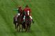Animal Kingdom returned victorious on Saturday at Gulfstream Park