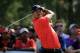 ABU DHABI, UNITED ARAB EMIRATES - JANUARY 29: Tiger Woods of the USA hits a tee shot on the fifth hole during the final round of the Abu Dhabi HSBC Golf Championship at the Abu Dhabi Golf Club on January 29, 2012 in Abu Dhabi, United Arab Emirates. (Photo by Scott Halleran/Getty Images)