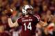 COLUMBIA, SC - NOVEMBER 26: Connor Shaw #14 of the South Carolina Gamecocks drops back to pass against the Clemson Tigers during their game at Williams-Brice Stadium on November 26, 2011 in Columbia, South Carolina. (Photo by Streeter Lecka/Getty Images)