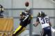 The Steelers either keep Mike Wallace or get a #1 pick for him - more than the going rate for 1-time Pro Bowl WRs
