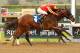 Drill winning the San Vicente Stakes from Santa Anita