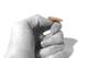 Photo by Kirsty Pargeter/Shutterstock