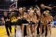 Colorado's mascot and cheerleaders, who headline one of the best cheering sections in the country, cheer on Colorado during their semifinal win over Cal.