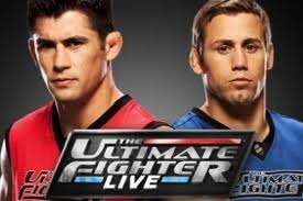 UFC's 'The Ultimate Fighter': Why Winning Coach Will Also Win Coaches' Fight, News, Scores, Highlights, Stats, and Rumors