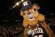 HOUSTON, TX - APRIL 04: The Butler Bulldogs mascot performs before taking on the Connecticut Huskies during the National Championship Game of the 2011 NCAA Division I Men's Basketball Tournament at Reliant Stadium on April 4, 2011 in Houston, Texas. (Photo by Ronald Martinez/Getty Images)