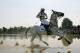 The newest Colt is expect to walk on water.