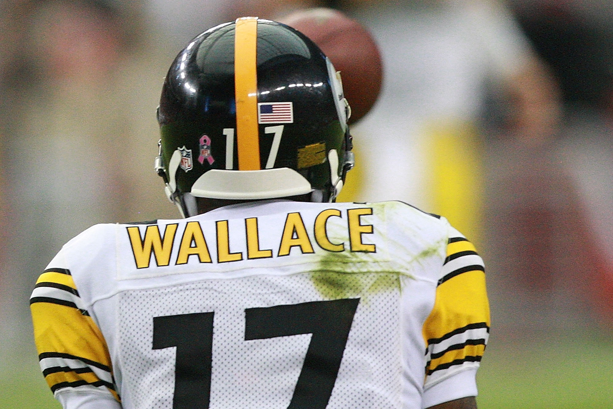 Retired WR Mike Wallace: 'Once You Go And Play For Other Teams, There Is  Nothing Like Playing For The Steelers' - Steelers Depot